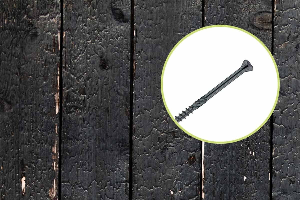 Wkręt z łbem ozdobnym Hobotec, inox, czarny Ø3,2 mm - Eurotec